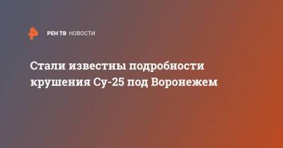 Стали известны подробности крушения Су-25 под Воронежем
