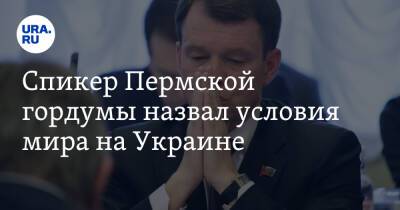 Спикер Пермской гордумы назвал условия мира на Украине