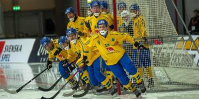 Швеция и Финляндия отказались участвовать в чемпионате мира по хоккею с мячом в Сыктывкаре