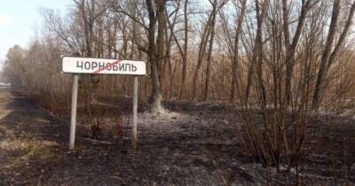 Российские войска вошли в Чернобыльскую зону, - Геращенко