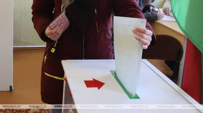Наблюдатель от БРСМ о досрочном голосовании в Витебске: не ожидала такой активности в первые дни