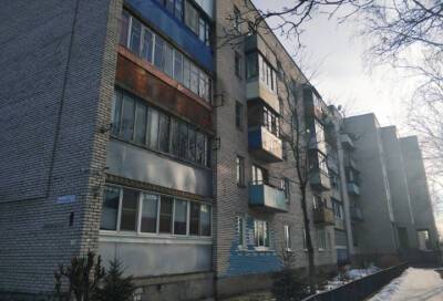 Госжилнадзор осмотрел 2 дома в Кировском районе Ленобласти на предмет аварийного состояния строительных конструкций