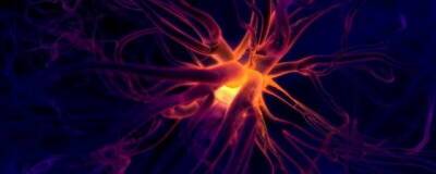 Шведские учёные создали искусственный нейрон