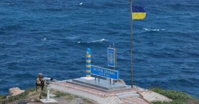 В МВД заявили, что остров Змеиный – под контролем Украины