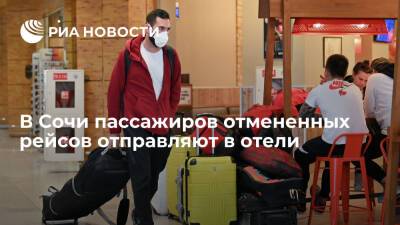 Мэр Сочи Копайгородский: пассажиров отмененных рейсов развозят по гостиницам