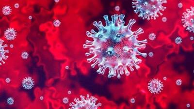 Вирусолог объяснил, как коронавирус влияет на иммунитет