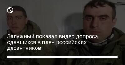 Залужный показал видео допроса сдавшихся в плен российских десантников