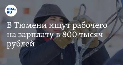 В Тюмени ищут рабочего на зарплату в 800 тысяч рублей