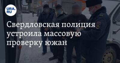 Свердловская полиция устроила массовую проверку южан. Фото