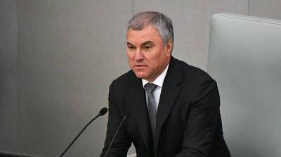 Володин: Зеленский похоронил Минские соглашения, не сумев начать переговоры с Донбассом