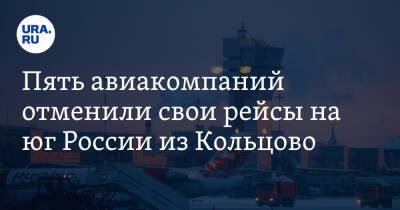 Пять авиакомпаний отменили свои рейсы на юг России из Кольцово