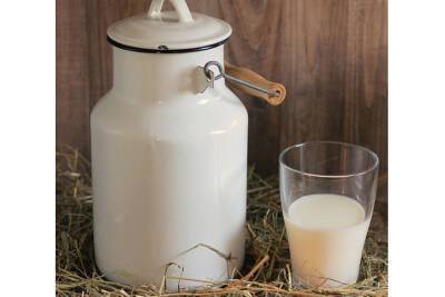 На Ставрополье работников фермы подозревают в краже 200 литров молока