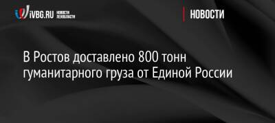 В Ростов доставлено 800 тонн гуманитарного груза от Единой России