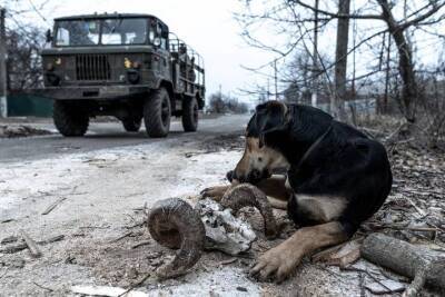 Пришло время защитников