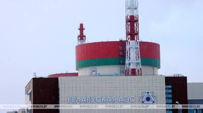 Первый энергоблок БелАЭС в конце апреля будет остановлен для планово-предупредительного ремонта