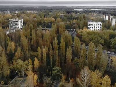 Минобороны РФ: Десантники взяли под контроль территорию в районе Чернобыльской АЭС