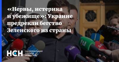 «Нервы, истерика и убежище»: Украине предрекли бегство Зеленского из страны