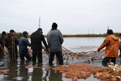 Конкретного сценария для паводка в Астраханской области пока нет