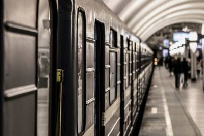Пассажиры петербургской подземки сообщили об остановке поездов на синей ветке