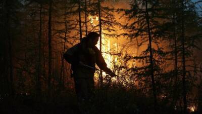 В Приморье определили сроки начала пожароопасного сезона