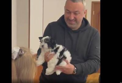 Алексей Брицун подарил девочке из Волховского района крошечного щенка