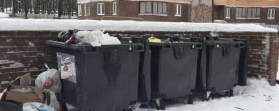 В Раменском выявлено 42 нарушения в содержании контейнерных площадок
