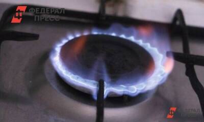 Эксперт о газе и санкциях ЕС: «Россия может получить экономическую выгоду»