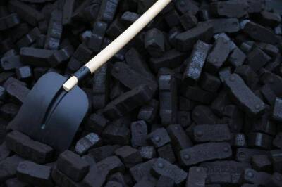 Германия планирует отказаться от российского угля