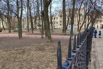 Петербургские сады и скверы закрыли из-за надвигающегося штормового ветра