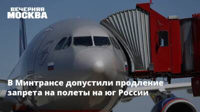 В Минтрансе допустили продление запрета на полеты на юг России