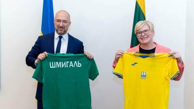 Премьер Литвы не согласна с тем, что Украину оставили одну,но эмоциональный фон ей понятен