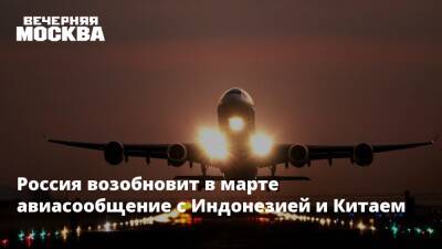 Россия возобновит в марте авиасообщение с Индонезией и Китаем
