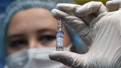 Гинцбург назвал решение Италии отказаться от вакцины «Спутник V» политическим