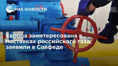 Сенатор Джабаров заявил, что Европа заинтересована в поставках российского газа