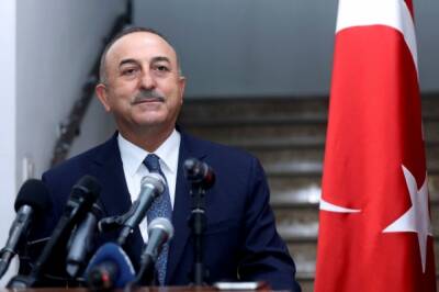 МИД Турции заявил о готовности принять встречу Путина и Зеленского в Анкаре