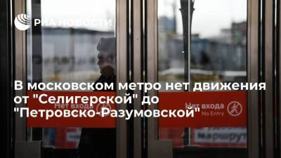 В московском метро нет движения поездов от "Селигерской" до "Петровско-Разумовской"