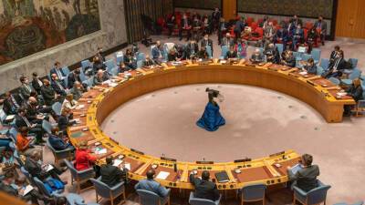 Россия наложила вето на проект резолюции СБ ООН по ситуации на Украине