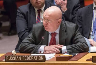 Постпред РФ при ООН заявил о недостаточности информации о гибели гражданских лиц на Украине