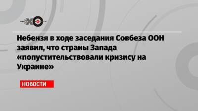 Небензя в ходе заседания Совбеза ООН заявил, что страны Запада «попустительствовали кризису на Украине»