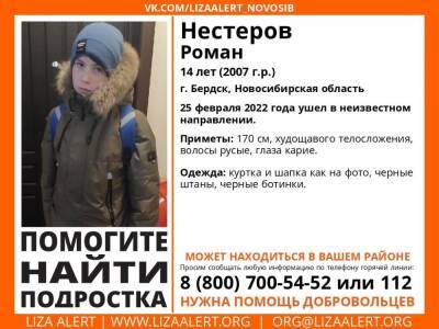 Под Новосибирском пропал 14-летний подросток Роман Нестеров