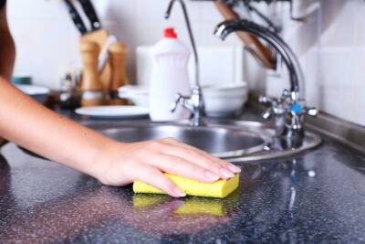 Кухонные губки содержат в себе «бактериальное общежитие»