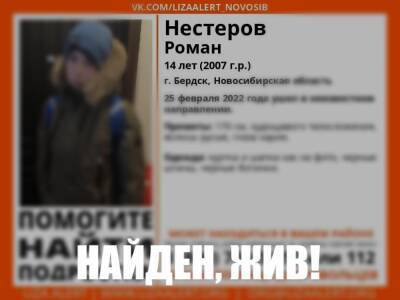 Под Новосибирском прекращены поиски пропавшего 14-летнего мальчика