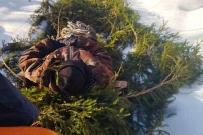 В Ивановской области лыжник травмировал ногу в лесу - пришлось вызывать спасателей