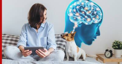 Влияние домашних животных на здоровье мозга человека выявили ученые