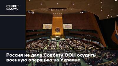 Россия не дала Совбезу ООН осудить военную операцию на Украине