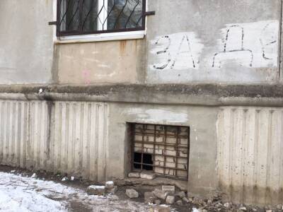 В подвале многоэтажки в Рязани замуровали живую собаку