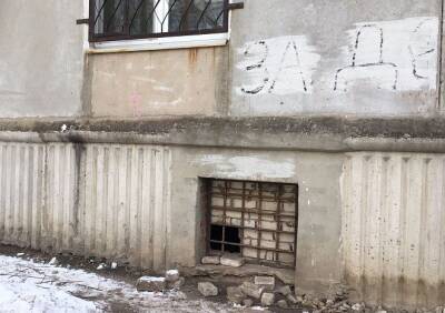 В Канищеве в подвале многоэтажки замуровали собаку