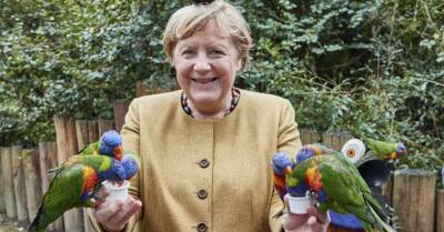 Ангелу Меркель обокрали в магазине