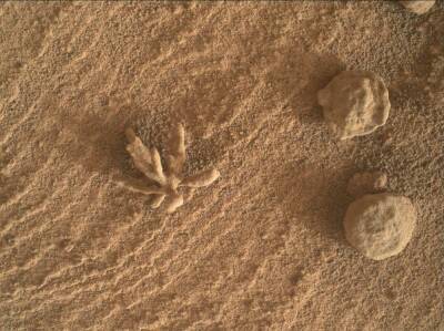 Марсоход «Curiosity» передал фото странного камня