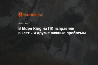 В Elden Ring на ПК исправили вылеты и другие важные проблемы